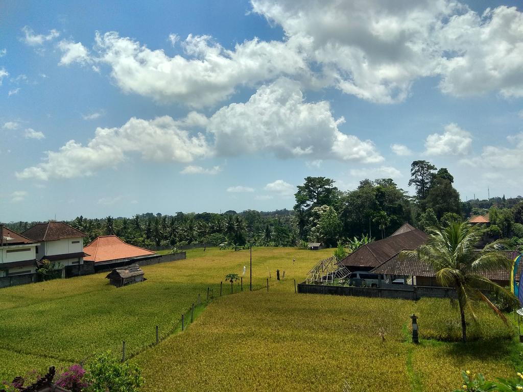 Soka Homestay Убуд Екстериор снимка